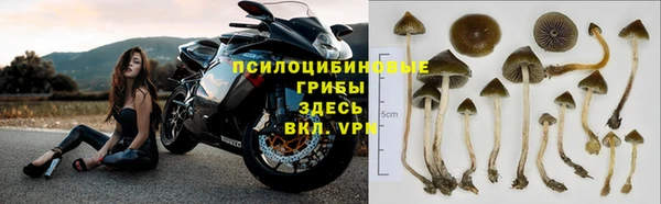 спайс Белоозёрский