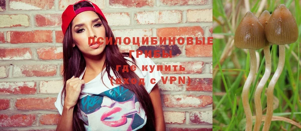 сатива Беломорск
