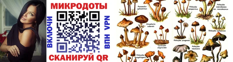 сайты даркнета как зайти  Высоковск  Галлюциногенные грибы прущие грибы 